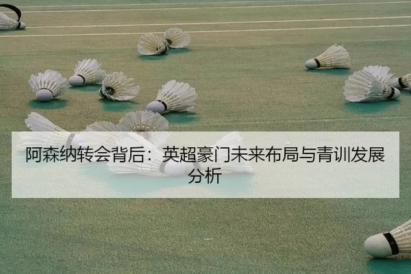阿森纳转会背后：英超豪门未来布局与青训发展分析